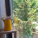Grüner Heinrich - Bett&frühstück Frühstückspension