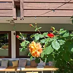 Gruener Heinrich - Bett&fruehstueck 3* Oberaichwald (Carinthia)